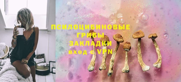 гидра Алзамай
